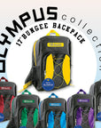Bungee Backpack 17"