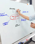 Dry Erase Starter Kit