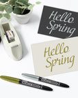 Silver & Gold Metallic Markers (2/Pack)