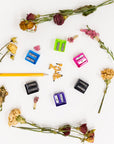 Cora Dual Hole Square Sharpener (6/Pack)