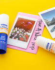 Glue Stick Premium Pack 0.7 oz (21g) (12 Sticks)