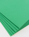 2-Pockets Portfolios Premium Green Color (25/Box)