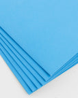 2-Pockets Portfolios Premium Light Blue Color (25/Box)