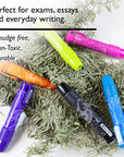 Retractable Paisley Stick Erasers (2/Pack)