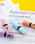Desk Style Pastel Mini Highlighters (4/Pack)