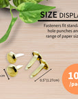 1/2" Brass Fastener (100/Pack)