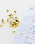1/2" Brass Plated Fastener (100/Pack)