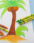 Premium Crayons 48 Color