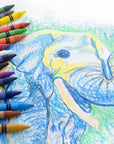 Premium Crayons 16 Color