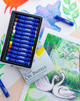 Oil Pastels 12 Colors