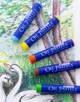 Oil Pastels 25 Colors