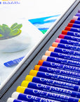 Oil Pastels 50 Colors