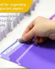 File Folder Color 1/3 Cut Letter Size (100/Box)