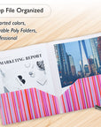 Poly 2-Pockets Portfolio - Stripes