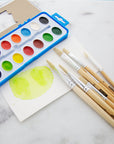 Flat Natural Bristle Paint Brush (9/Pack)