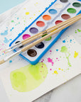 Flat Natural Bristle Paint Brush (9/Pack)