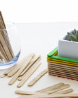 Natural Craft Stick (1000/Pack)