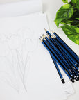 Sketching Pencil Set Design & Drafting (12 Assortment)