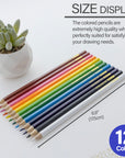 12 Colored Pencils