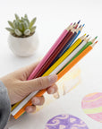 12 Colored Pencils