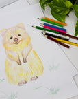 12 Mini Colored Pencils