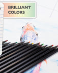 12 Colored Pencils