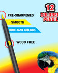 12 Colored Pencils