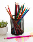 NEXT 18 Colored Pencils
