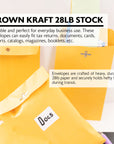 Clasp Envelope 6" X 9" (100/Pack)