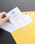 Clasp Envelope 6" X 9" (100/Pack)