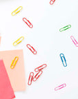 Paper Clip (50mm) Jumbo Color (100/Pack)