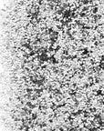Glitter Shaker 1 lb Silver