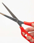 Office Scissors 8"