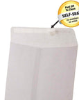 Self-Seal White Envelope 6" x 9" (6/Pack)