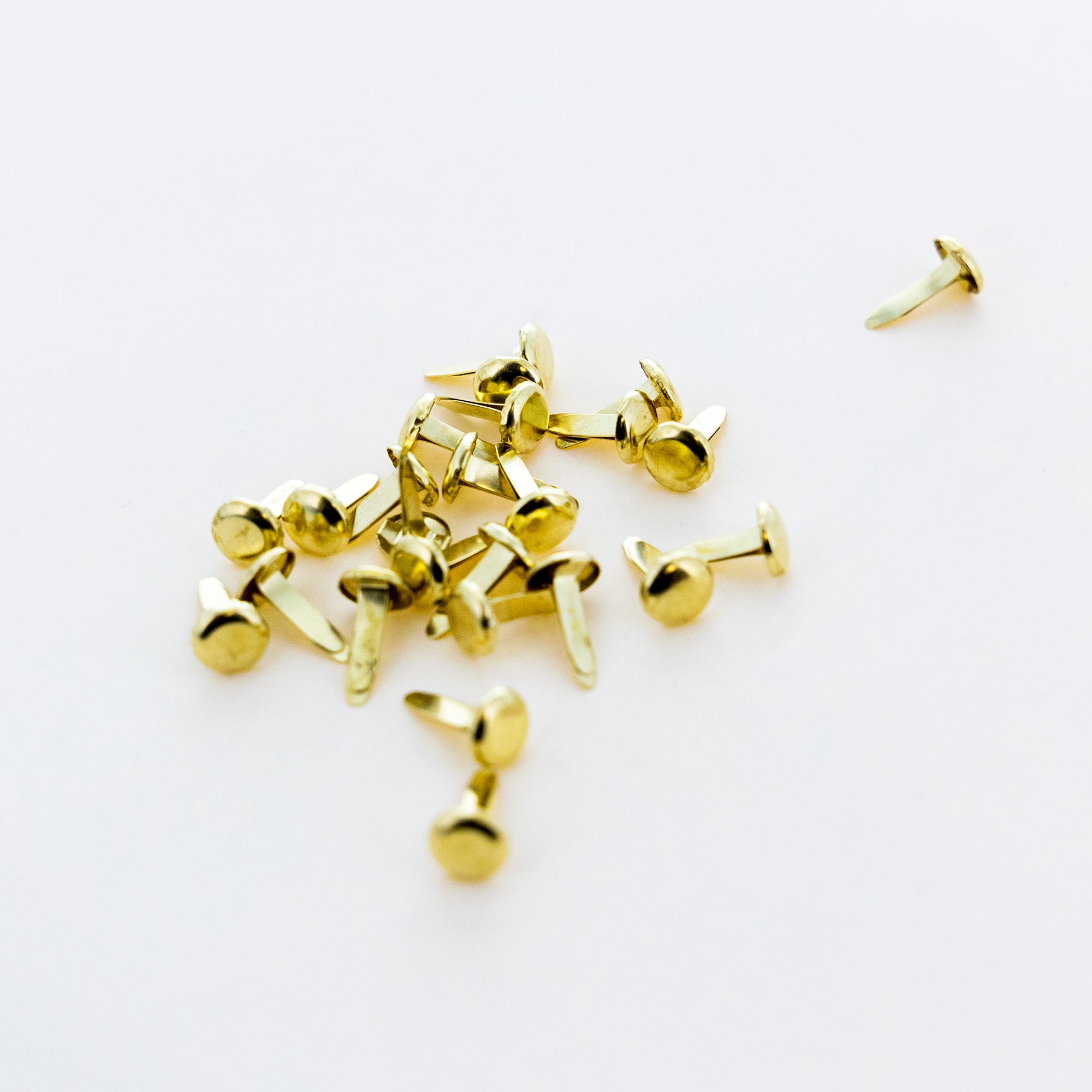 1/2&quot; Brass Plated Fastener (100/Pack)