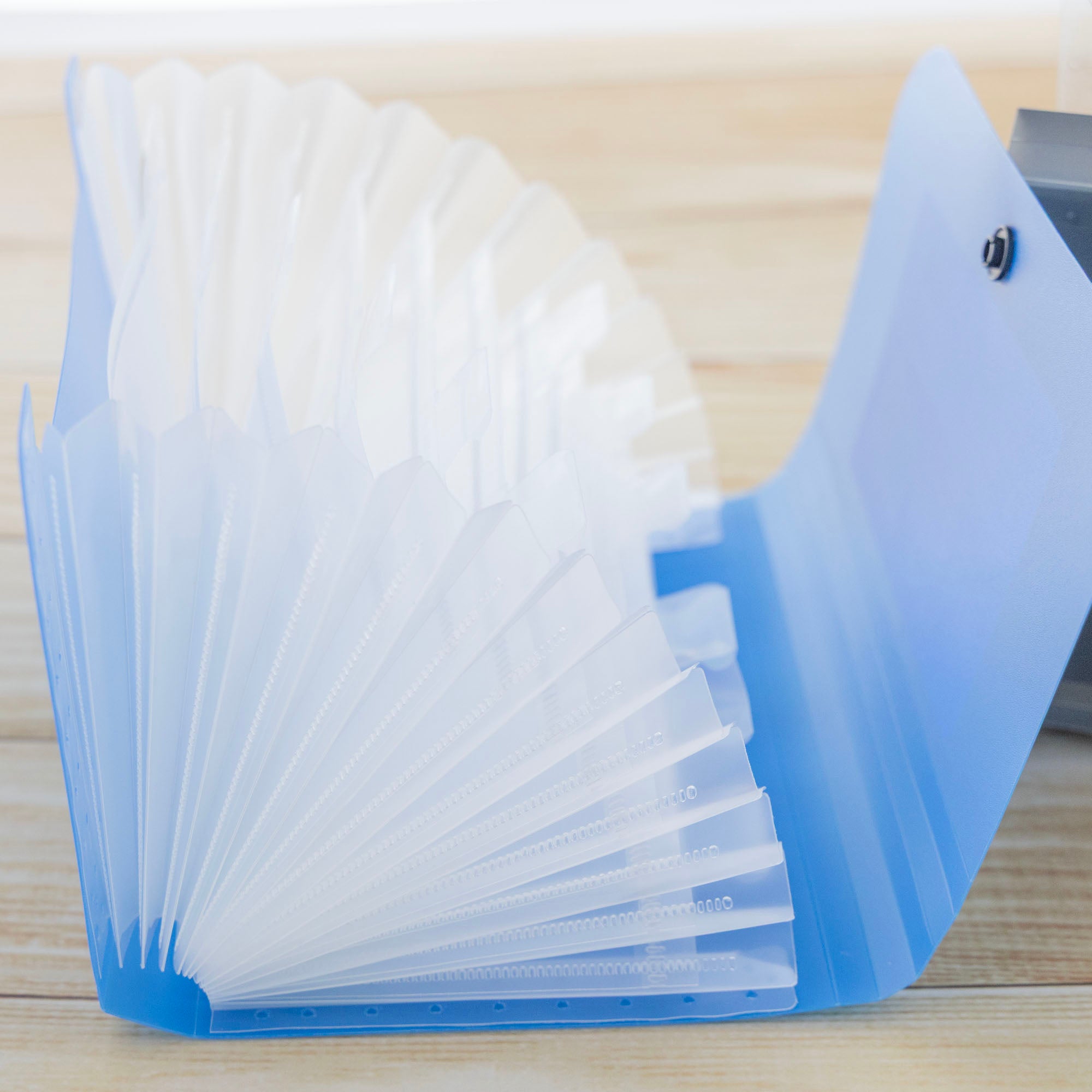 13-Pockets Coupon/Personal Check Size Expanding File