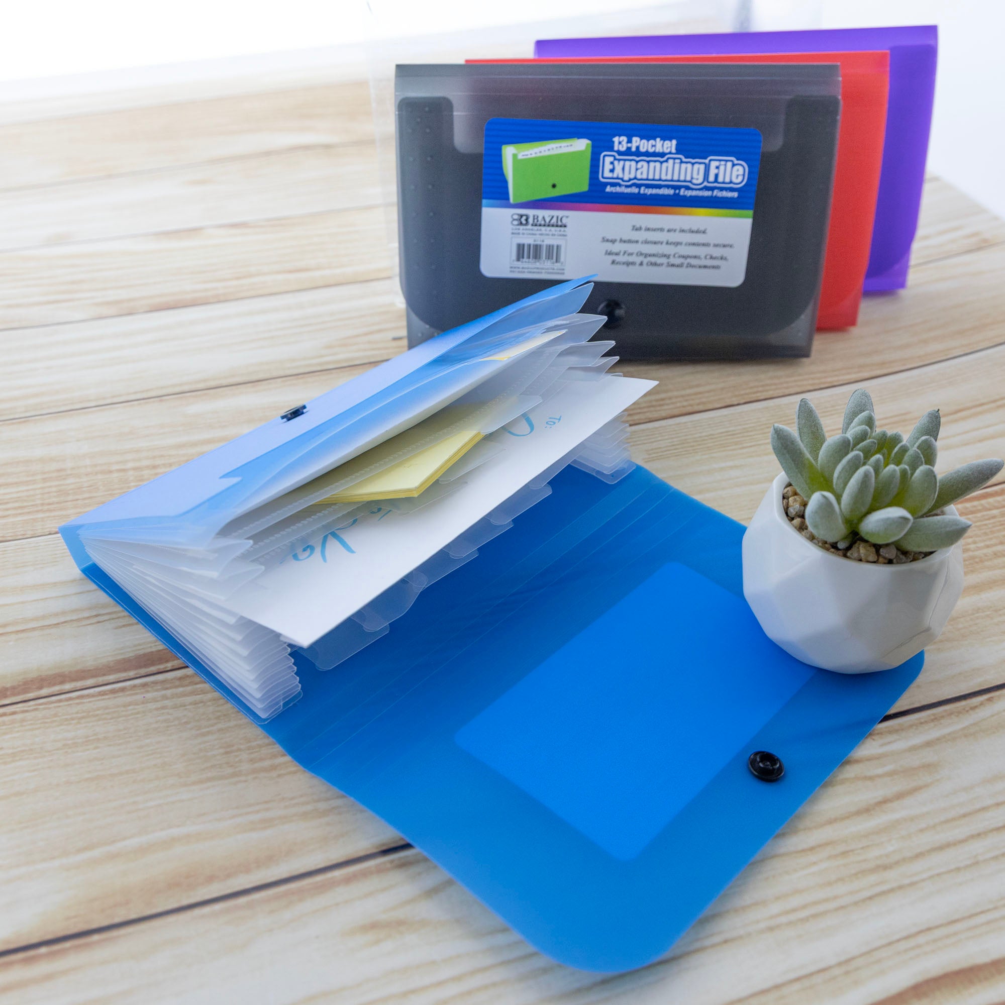13-Pockets Coupon/Personal Check Size Expanding File