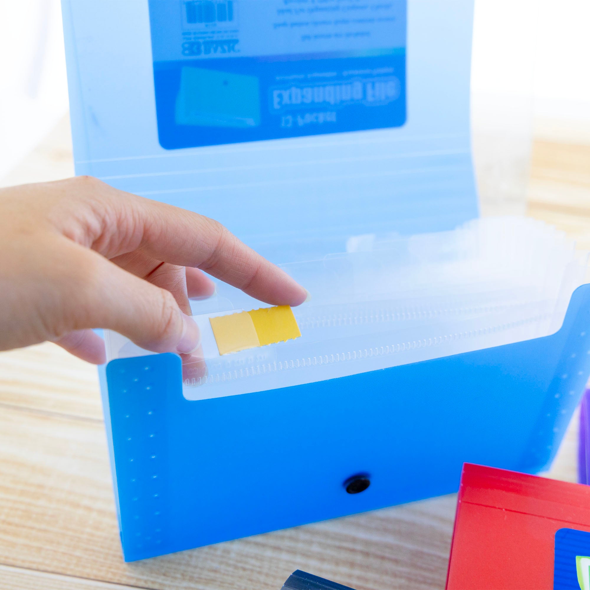 13-Pockets Coupon/Personal Check Size Expanding File