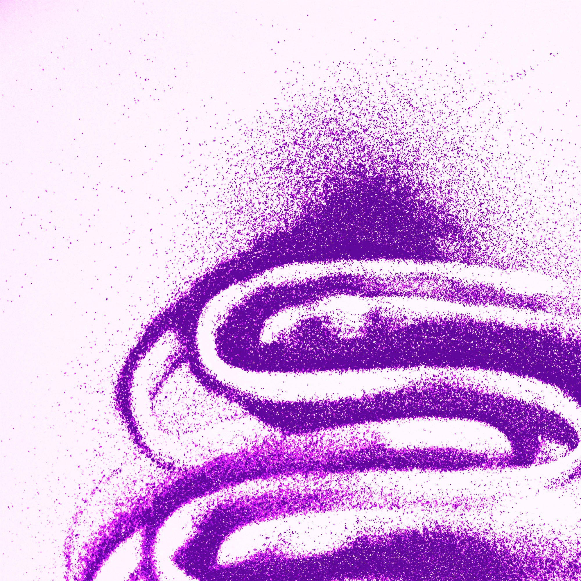 Glitter Shaker 1 lb Purple