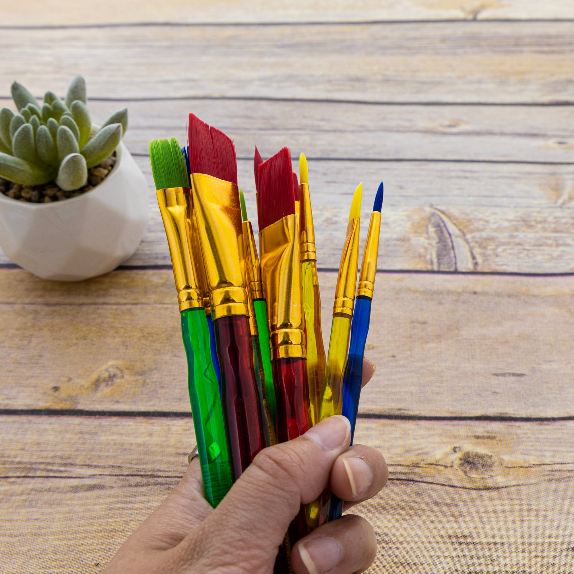 Assorted Nylon Paint Brush Set w/ Translucent Handle (12/Pack)