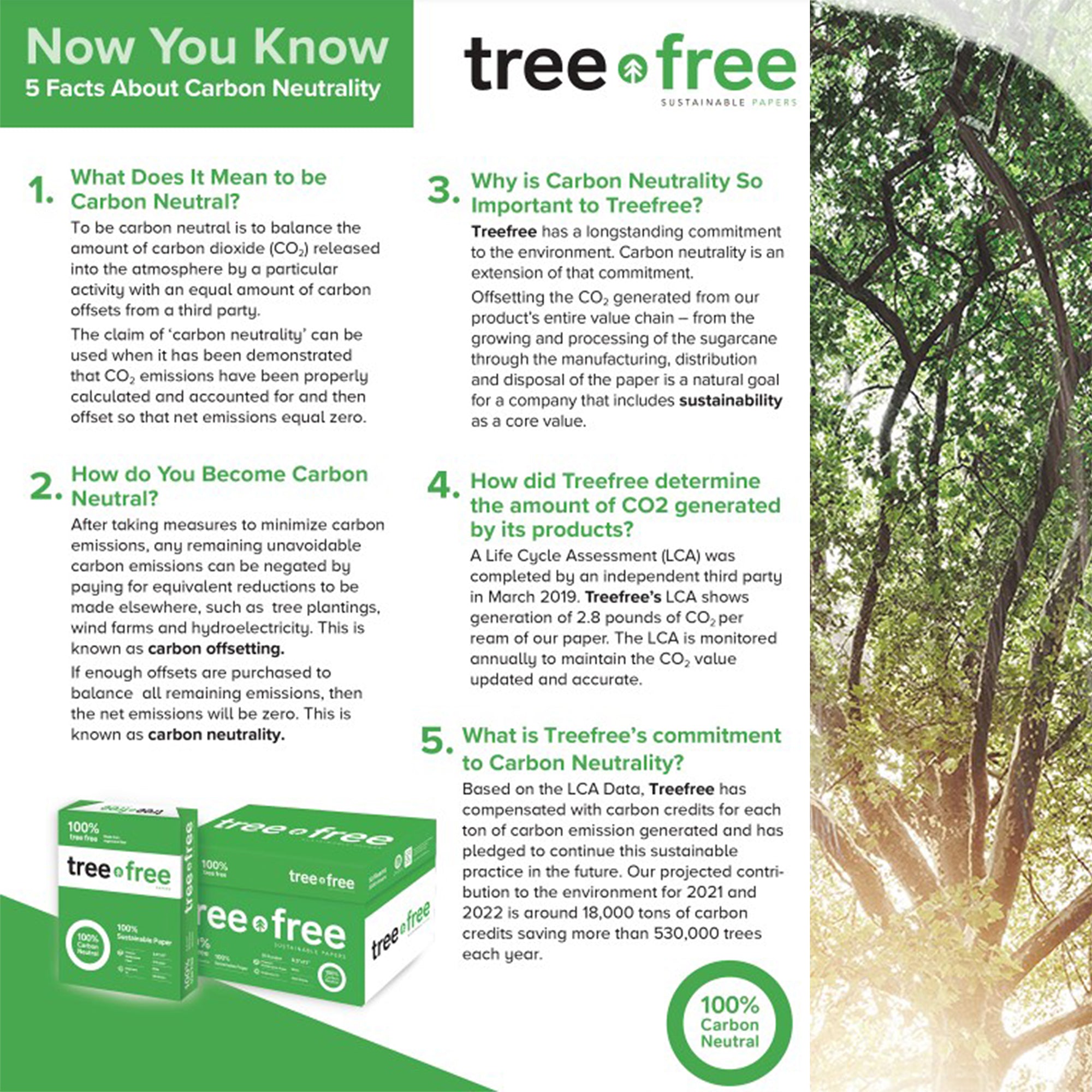 TREE FREE 8.5&quot; X 11&quot; White Copy Paper 200,000 Sheets (40 Cases/Pallet)