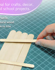 Natural Craft Stick (100/Pack)
