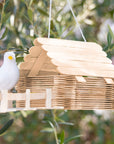 Jumbo Natural Craft Stick (50/Pack)
