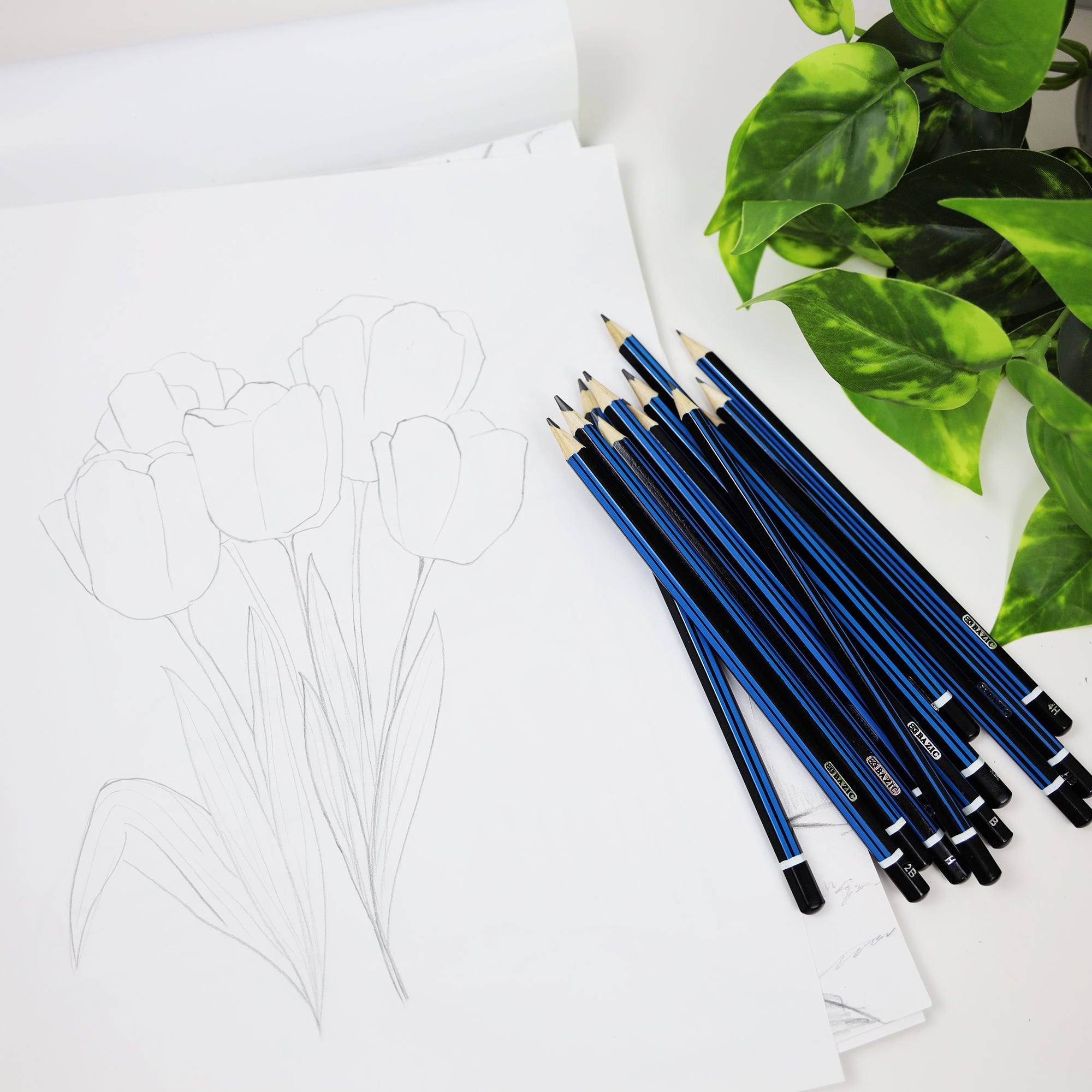 Sketching Pencil Set Design &amp; Drafting (12 Assortment)