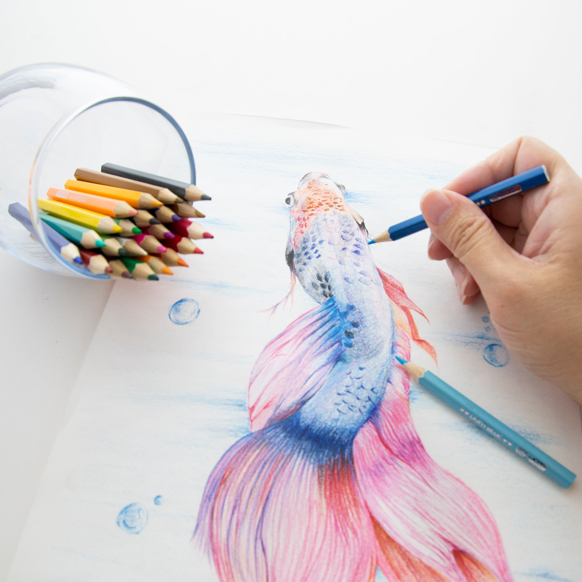 24 Mini Colored Pencils