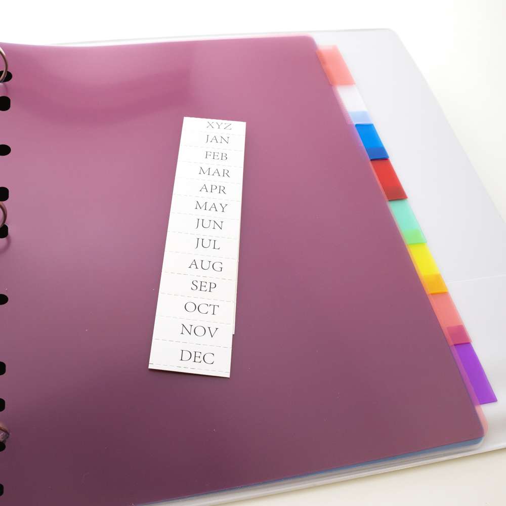 Dividers w/ 8-Insertable Color Tabs