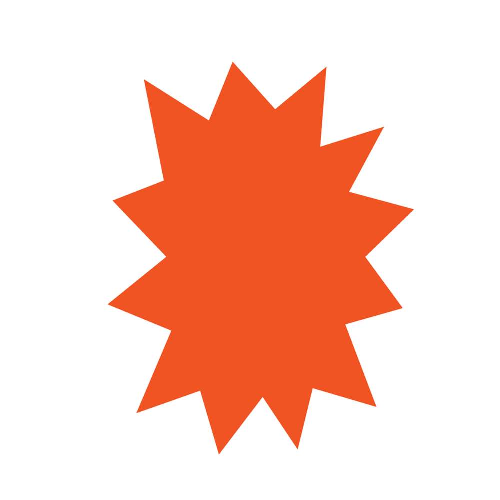 BAZIC 13.5