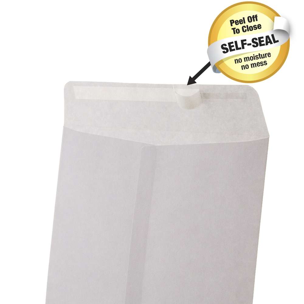Self-Seal White Envelope 6&quot; x 9&quot; (6/Pack)