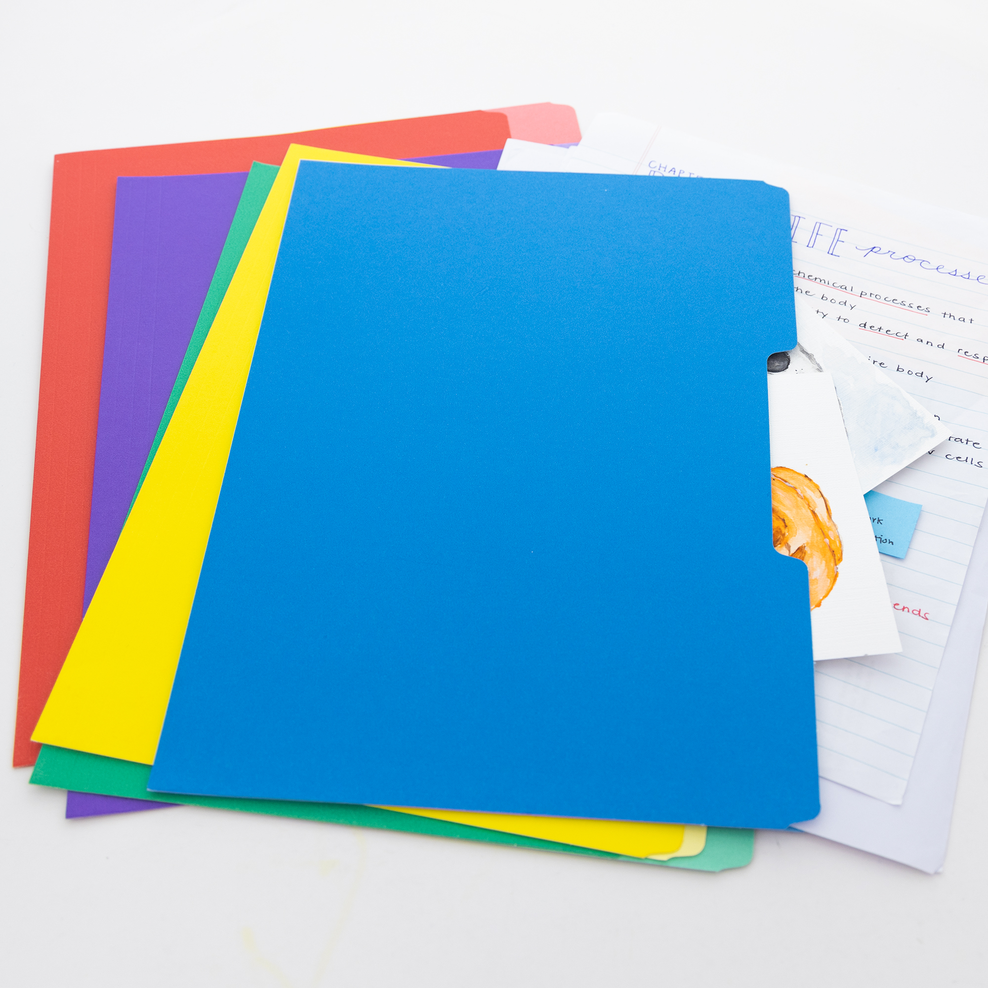 File Right Color-Code File Folder Storage Boxes